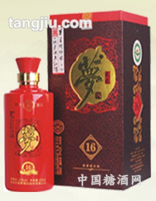 天之梦十六年