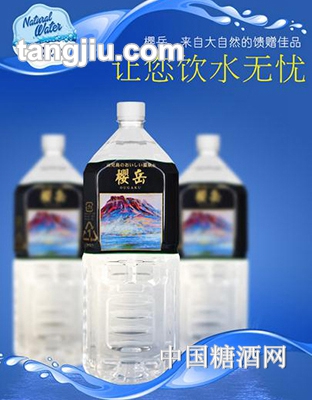 樱岳活火山温泉水2L