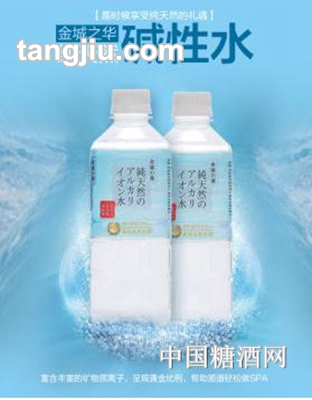 金城之华碱性离子水500ML