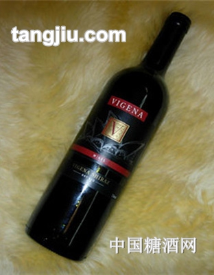 维格娜葡萄酒精品沙茹斯