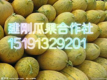 哈密瓜批发