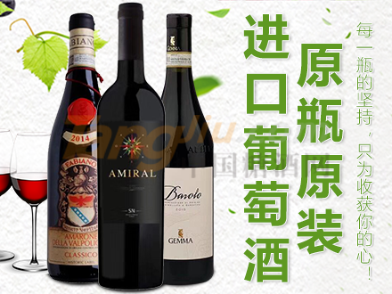 珠海尼维国际贸易有限公司1.png