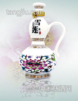 华彩人生