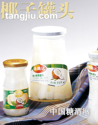 振鹏达椰子罐头