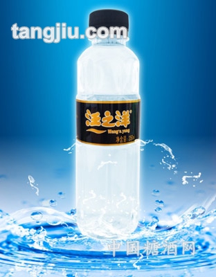 汪之洋矿泉水350ml