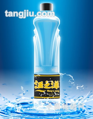 汪之洋矿泉水500ml