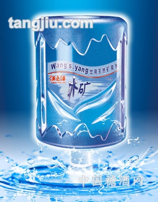 汪之洋冰矿-11.2L