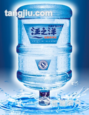 汪之洋纯净水-18.9L