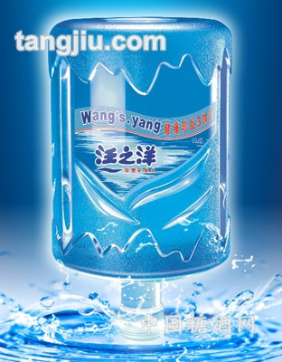 汪之洋珍贵矿泉水-11.2L