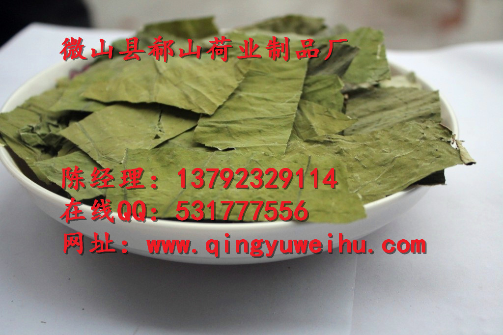 供应优质干荷叶中药材