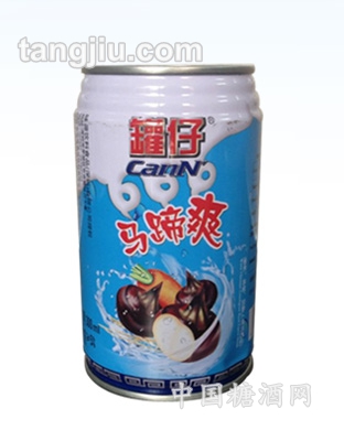 罐仔马蹄爽300ml