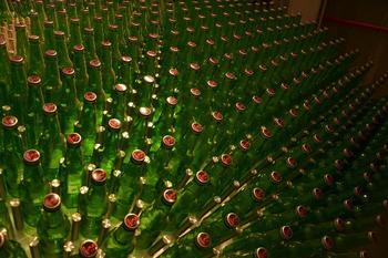 珠江啤酒批发商