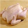 供应冷冻鸭头 鸭腿 鸭胗