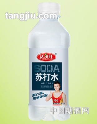 沃尔旺苏打水（陈一冰）350mL