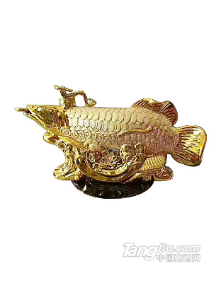 金鱼