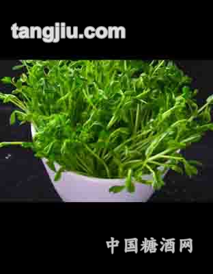 绿色豆苗
