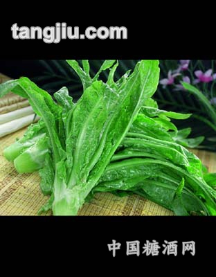 凤尾