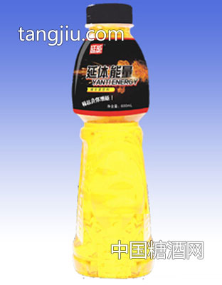 延能延体能量维生素饮料600ml