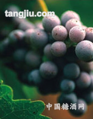 塞浦路斯葡萄原酒