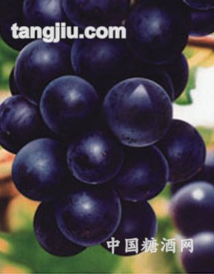 塞浦路斯葡萄原酒3