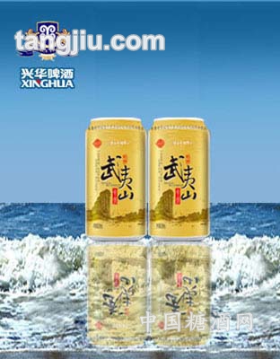 武夷山金罐