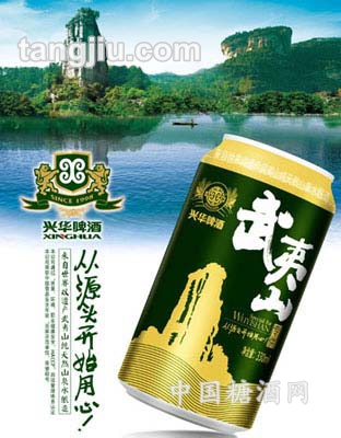 武夷山墨绿易拉罐