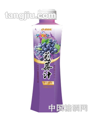 喜相逢蓝莓汁500ml
