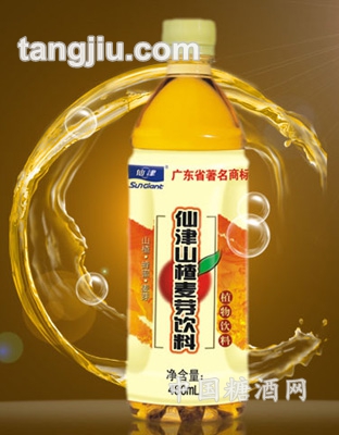 山楂麦芽饮料480ml