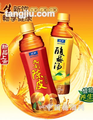 九制陈皮酸梅汤480ml