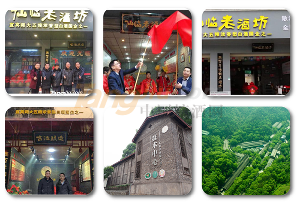 仙临老酒坊招商1.png