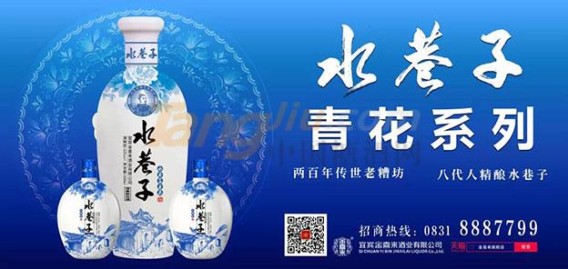 金喜来水巷子1.jpg