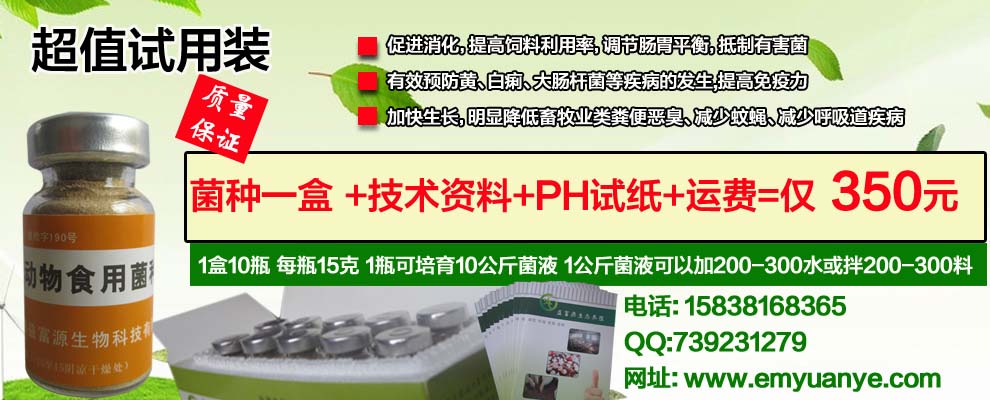 猪咳嗽老不好用em益生菌种液