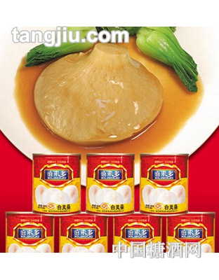 僖来多罐头白灵菇825g