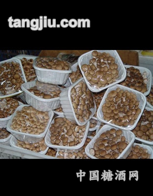 姬菇（木之缘）