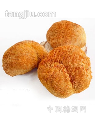 木之缘牌-猴头菇