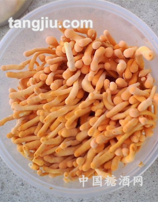 鲜虫草花（木之缘）