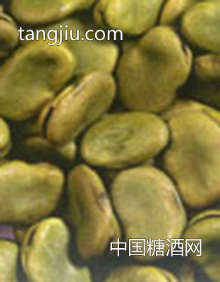 青皮蚕豆