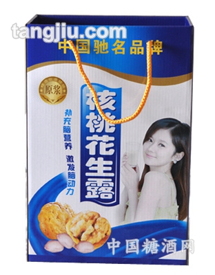 康世福核桃花生露原浆