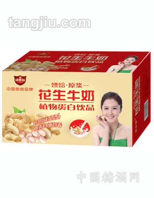 康世福花生牛奶植物蛋白饮品