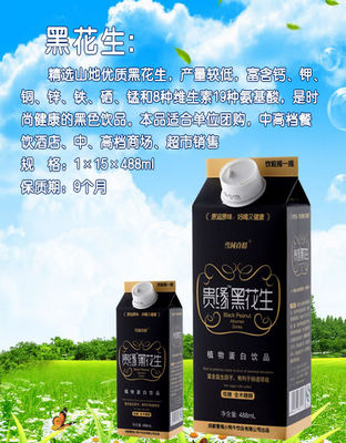 黑花生植物蛋白饮料488ml