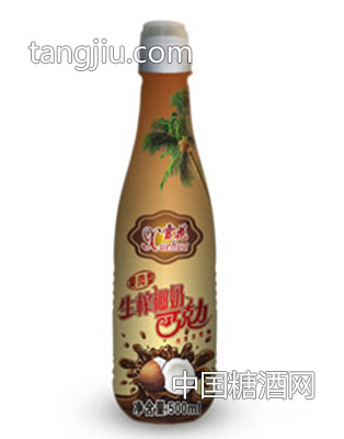 巧克力椰奶果肉饮料500ml
