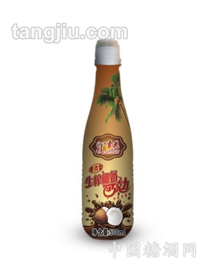 巧克力椰奶果肉饮料500ml