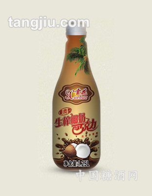 巧克力椰奶果肉饮料1.25L