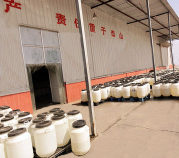 玉米糖浆生产厂家找雪牛乳业