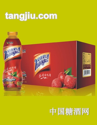 昊雨山楂汁450mlx15瓶