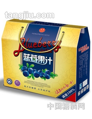 双润新品——蓝莓汁