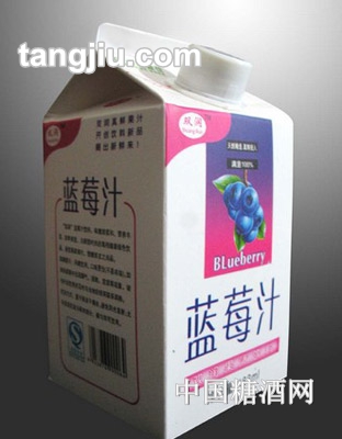 蓝莓汁488ml