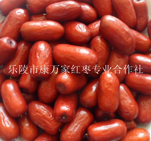 山东长红枣产地格