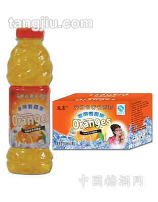 果肉饮品-550ml看的着真果