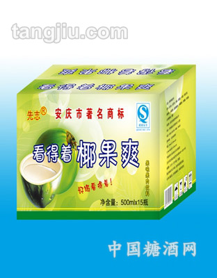 果肉饮品-500ml椰果爽外箱